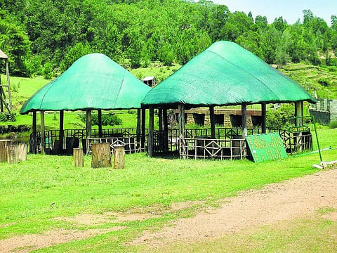 கொடைக்கானலில் மீண்டும் டிரெக்கிங் சுற்றுலா தொடக்கம்﻿- புதிய மலையேற்றப் பாதைகள் அமைக்கும் பணி தீவிரம்﻿