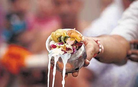 வாழ்விற்கு இது அவசியமா?﻿