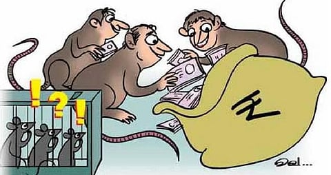 எலிகளைப் பிடிக்க ஆண்டுக்கு ரூ 20 லட்சம் செலவு! -பெங்களூர் மாநகராட்சியில் ஒரு எலி பிடிக்க ரூ.10 ஆயிரம்