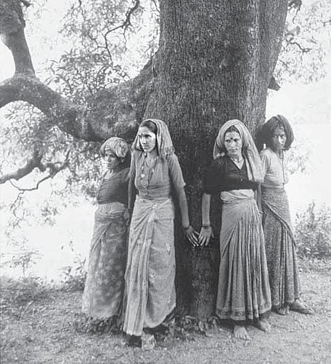 சிப்கோ இயக்கத்தின் தந்தைக்குக் கவுரவம்﻿