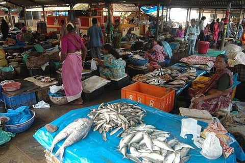 மீன்கள் விலை கடும் உயர்வு: வஞ்சிரம் கிலோ ரூ.900﻿
