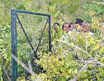 வேட்டைக்காரர்களால் சிறுத்தைக்கு ஆபத்தா?- சமூக ஆர்வலர்களுக்கு வனத்துறை விளக்கம்﻿