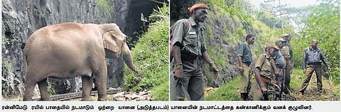 ரயில் பாதையில் நடமாடும் ஒற்றை யானையை கண்காணிக்க குழு﻿