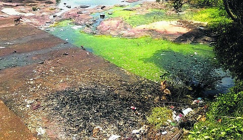 ஆழியாற்றில் சுகாதாரச் சீர்கேடு: தொற்று நோய் பரவும் அபாயம்