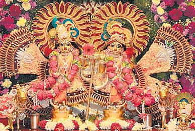 முத்துக்களைப் பயிர் செய்த குட்டிக் கண்ணன்