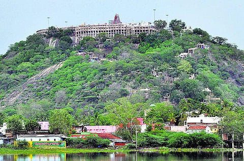 பழநியில் நிம்மதியாக தரிசனம் செய்ய முடியவில்லை﻿: கட்டாய காணிக்கை வசூலால் பக்தர்கள் அதிருப்தி