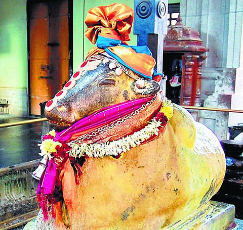 வளமெல்லாம் அருளும் நெய் நந்தீஸ்வரர் - செப்டம்பர் 6: சனிப் பிரதோஷம்