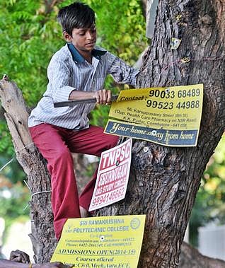 மரங்களில் விளம்பரம் செய்தால் ரூ.1,000 அபராதம்﻿: கர்நாடக அரசு அறிவிப்பு﻿