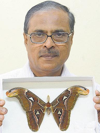 பூச்சிகளின் பிரம்மாண்ட உலகம்