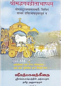 சங்கரரின் பார்வையில் ஸ்ரீமத்பகவத்கீதை