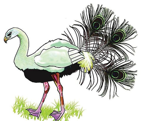 படப் புதிர்