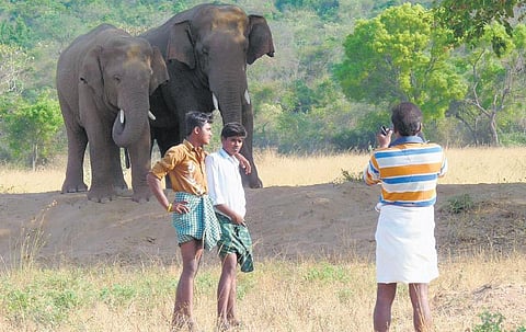 அற்புதங்களுக்குப் பின் ஒளிந்திருக்கும் ‘செட்டப்