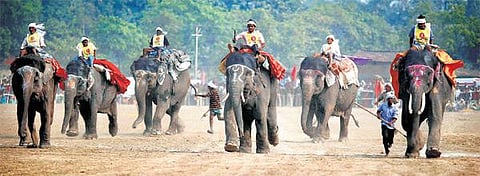 சோன்பூர் கால்நடைச் சந்தையில் யானை, குதிரைப் பந்தயம் நடத்த எதிர்ப்பு: விலங்குகள் நல அமைப்பு வழக்கு﻿