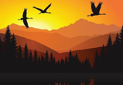 இந்தக் கடலைக் கடக்க முடியுமா?