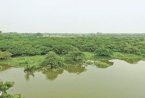 வெளிநாட்டில் இருந்து பறவைகள் வரத்து குறைந்தது﻿: வெறிச்சோடிய வேடந்தாங்கல் - ஏமாற்றத்துடன் திரும்பும் சுற்றுலாப் பயணிகள்
