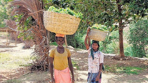 மெல்லத் தமிழன் இனி...! 38 - யார், ஆதிகுடியைக் குடிநோயாளியாக்கியது?﻿