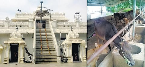 சேலத்தில் ஒரு சபரிமலை