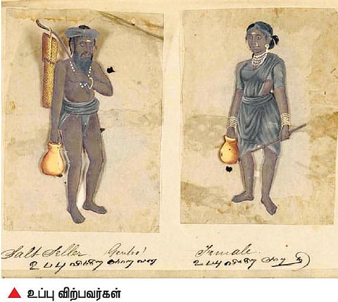சங்க இலக்கியம் - கடல்விளை அமுதம்