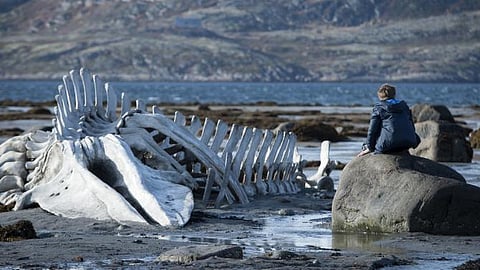 Leviathan: ஒரு ரஷ்ய காவியம்
