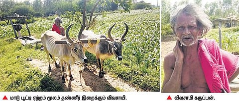 நவீன கருவிகள் வந்தபோதும் ஏற்றம் இறைத்து பயிர் சாகுபடி﻿: பழமை மறவாத புதுக்கோட்டை விவசாயி﻿
