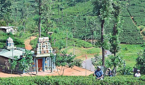 நம்முடைய மறதியின் வரலாறு﻿