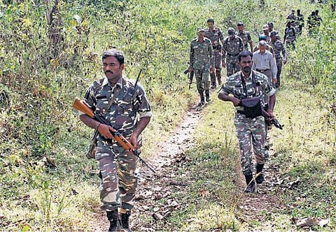 கேரளப் பகுதிகளில் தாக்குதல் அதிகரிப்பு எதிரொலி﻿: நீலகிரியில் மாவோயிஸ்ட் தேடுதல் வேட்டை தீவிரம்﻿
