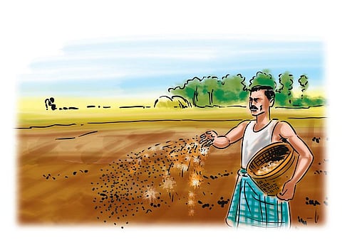 புரட்சி விதைகளால் வாடிய பயிர்கள்