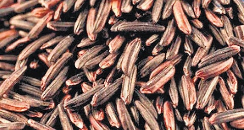 கருங்குறுவை மாமருந்து