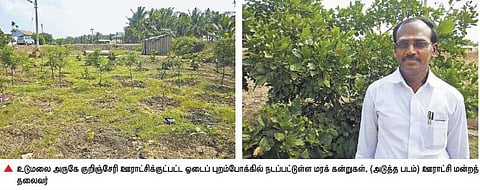 உடுமலை அருகே﻿ பசுமைக் கிராமமாக மாறும் குறிஞ்சேரி ஊராட்சி﻿
