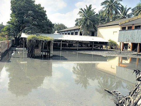 ராணிப்பேட்டை சிப்காட்டில்﻿﻿ தோல் கழிவுகளை அகற்றுவதில் தாமதம்﻿