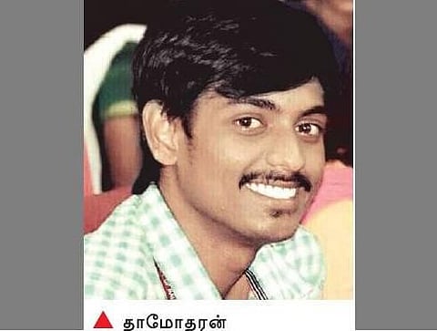 அழிவின் விளிம்பில் ராமேசுவரம் ராட்சத சிலந்தி﻿: கள ஆய்வு நடத்தி பாதுகாக்க கோரிக்கை