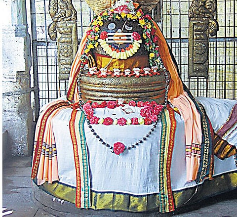 கருணை தெய்வம் கச்சாலீஸ்வரர்﻿: மகாசிவராத்திரி பிப்.17