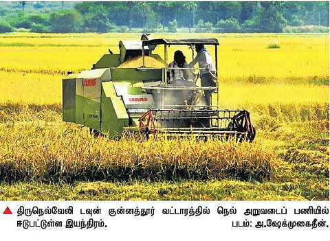 நெல் அறுவடை இயந்திரத்துக்கு கடும் தட்டுப்பாடு﻿: அதிக கட்டணத்துக்கு தனியாரிடம் தஞ்சம் புகும் விவசாயிகள்﻿