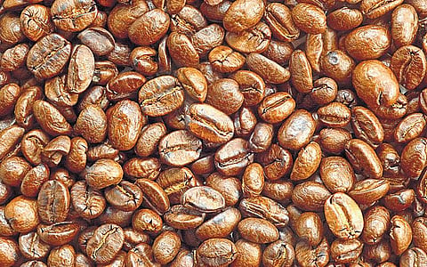 கும்பகோணம் டிகிரி காபி ரகசியம் தெரியுமா?﻿