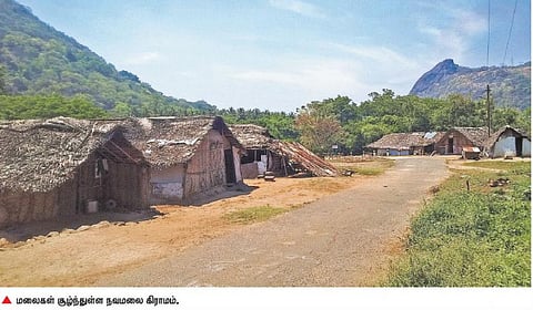 வாழ்வாதாரப் போராட்டத்தில் நவமலை பழங்குடி மக்கள்