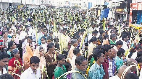 வேளாங்கண்ணி பேராலயத்தில் நூற்றுக்கணக்கானோர் குருத்தோலை பவனி
