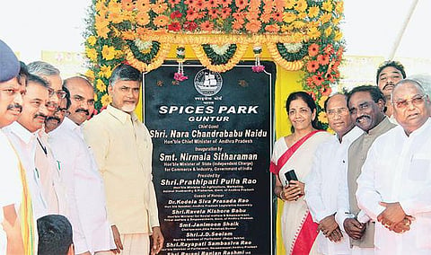 ஆந்திர மாநிலம் குண்டூரில்﻿﻿ வாசனை, மசாலா பொருட்கள் பதப்படுத்தும் தொழில் பூங்கா திறப்பு﻿