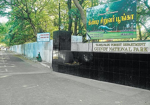 மாநகருக்குள்ளே ஒரு ஜாலி சுற்றுலா﻿