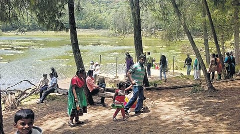 சுற்றுலாப் பயணிகளை ஈர்க்கும் கொடைக்கானல் பேரிஜம் ஏரி﻿: ஆசியாவிலேயே 2-வது மிகப்பெரிய இயற்கை நன்னீர் ஏரி﻿﻿