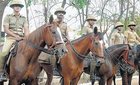 குதிரைப் படையுடன் ஒரு நாள்﻿