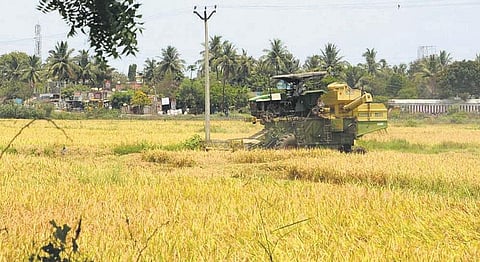 நவீன ஷட்டர் அமைத்துத் தரக் கோரிக்கை: ஏரி மதகை சொந்த செலவில் சீரமைத்து கோயில் நிலத்தில் விவசாயம்﻿ - கூட்டு முயற்சியால் 320 மூட்டை நெல் அறுவடை﻿