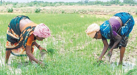 ‘மே’தினி சிறக்கவே...﻿