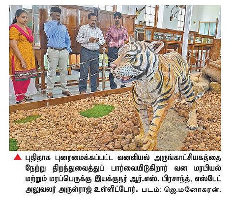 இந்தியாவின் பழமை வாய்ந்த﻿ வனவியல் அருங்காட்சியகம் மீண்டும் திறப்பு﻿