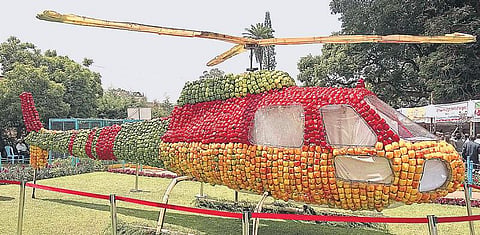 கோத்தகிரியில் காய்கறி கண்காட்சி﻿ பார்வையாளர்களை கவர்ந்த ‘மூவர்ண குடை மிளகாய் ஹெலிகாப்டர்’﻿