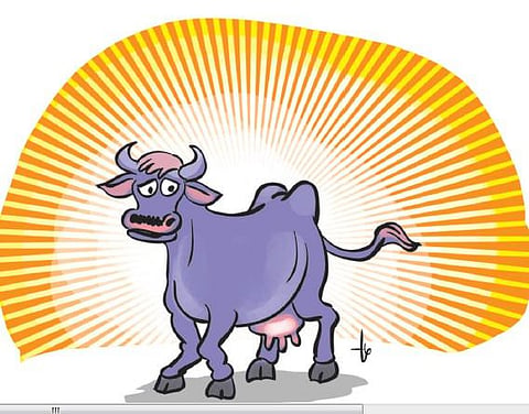 தொழில் ரகசியம்: வித்தியாசமாயிருந்தால் வெற்றி பெறலாம்!﻿