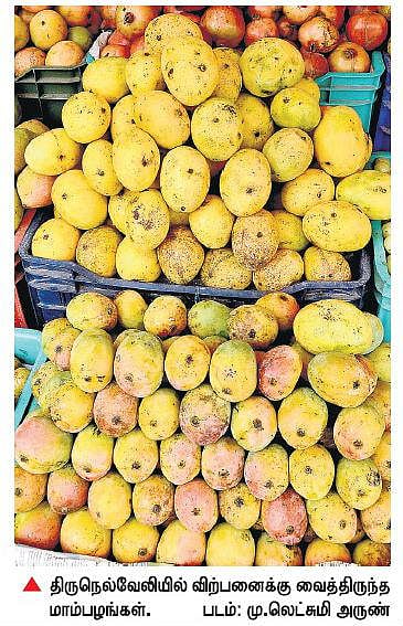 கார்பைடு கல் மாம்பழங்கள் எச்சரிக்கை﻿: சுவை இருக்காது, உடலுக்கு தீங்கானது﻿