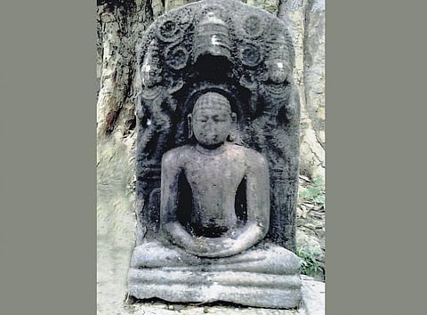 தஞ்சை அருகே பூங்காவூரில்﻿ 12-ம் நூற்றாண்டைச் சேர்ந்த மகாவீரர் சிற்பம் கண்டுபிடிப்பு﻿