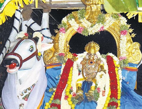 வைகாசி திருவிழா: மாரியம்மன் திரு உலா﻿