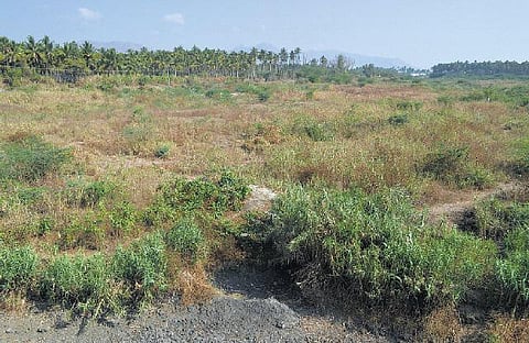 மாசுபட்ட பாலாற்றை மீட்க புதிய தொழில்நுட்பம்﻿, தோல் தொழிற்சாலைகளின் குரோமியம் விஷத்தை அகற்ற உயிரி - நிவாரணம்﻿: விஞ்ஞானிகள் தகவல்﻿