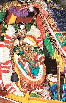 மோகினி அவதாரத்தில் கோவிந்தராஜர் பவனி﻿